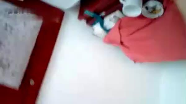 老张的泡妞之路